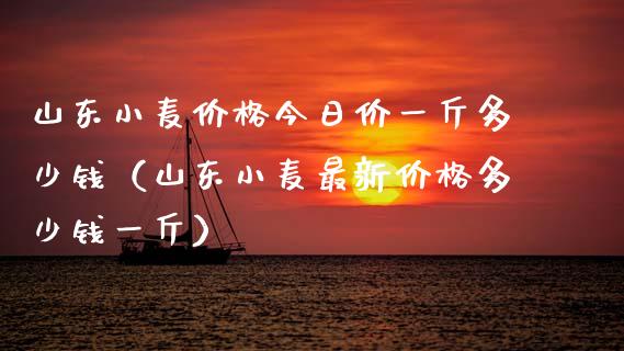 山东小麦价格今日价一斤多少钱（山东小麦最新价格多少钱一斤）
