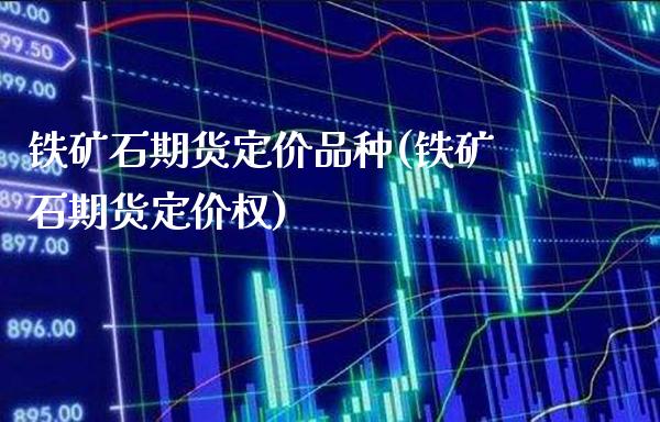 铁矿石期货定价品种(铁矿石期货定价权)