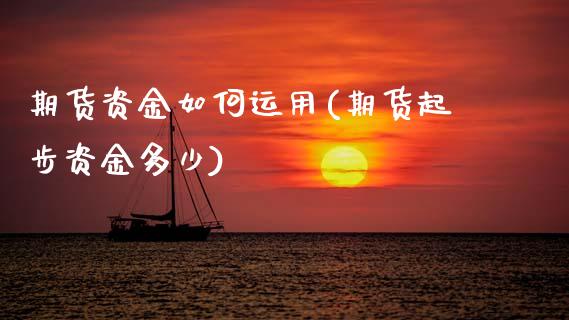 期货资金如何运用(期货起步资金多少)_https://www.boyangwujin.com_原油期货_第1张