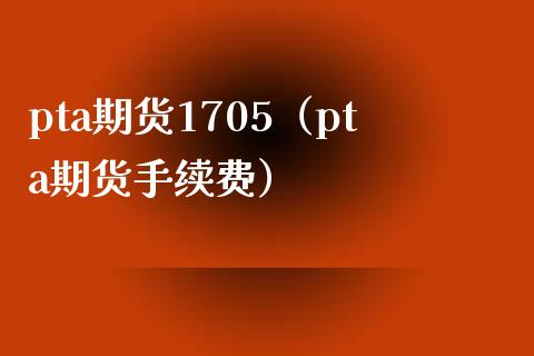 pta期货1705（pta期货手续费）