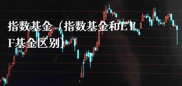 指数基金（指数基金和ETF基金区别）_https://www.boyangwujin.com_期货直播间_第1张