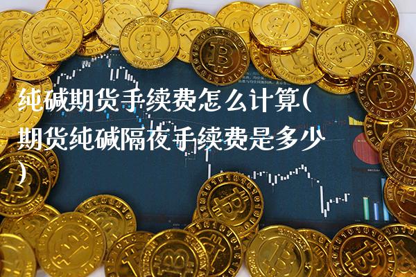 纯碱期货手续费怎么计算(期货纯碱隔夜手续费是多少)