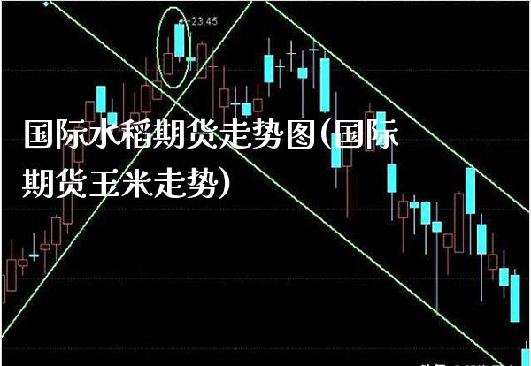 国际水稻期货走势图(国际期货玉米走势)
