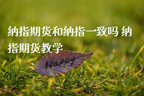 纳指期货和纳指一致吗 纳指期货教学