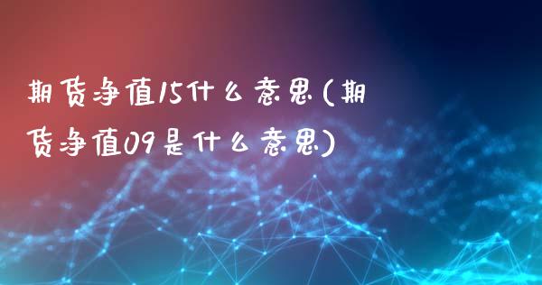 期货净值15什么意思(期货净值09是什么意思)_https://www.boyangwujin.com_期货开户_第1张