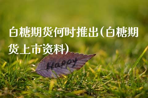 白糖期货何时推出(白糖期货上市资料)