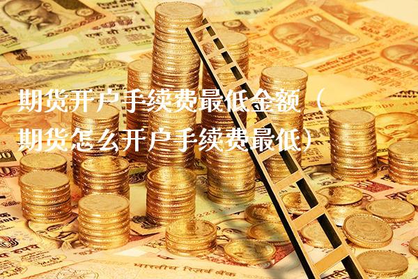 期货开户手续费最低金额（期货怎么开户手续费最低）_https://www.boyangwujin.com_期货直播间_第1张