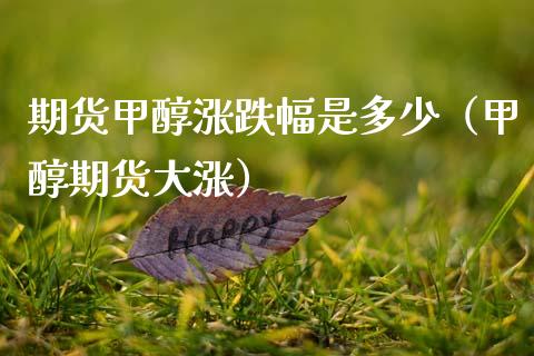 期货甲醇涨跌幅是多少（甲醇期货大涨）_https://www.boyangwujin.com_期货直播间_第1张