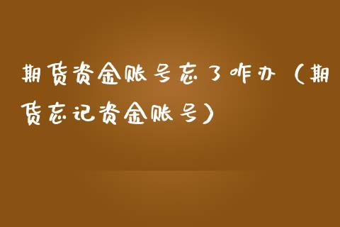 期货资金账号忘了咋办（期货忘记资金账号）