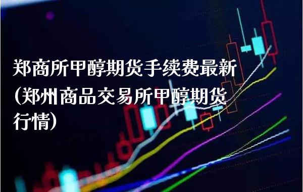 郑商所甲醇期货手续费最新(郑州商品交易所甲醇期货行情)_https://www.boyangwujin.com_原油期货_第1张