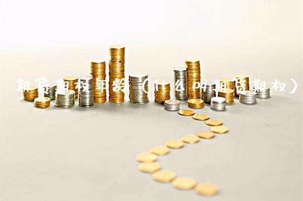 期货期权年龄（什么叫期货期权）_https://www.boyangwujin.com_恒生指数_第1张