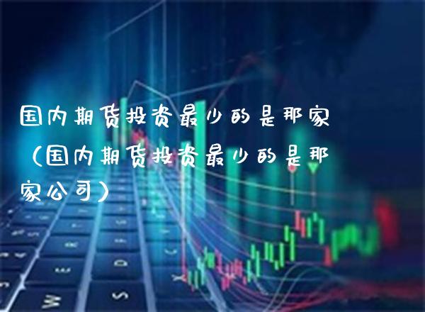 国内期货投资最少的是那家（国内期货投资最少的是那家公司）