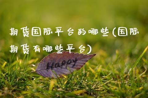 期货国际平台的哪些(国际期货有哪些平台)_https://www.boyangwujin.com_期货直播间_第1张