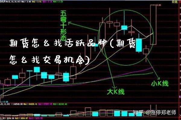期货怎么找活跃品种(期货怎么找交易机会)