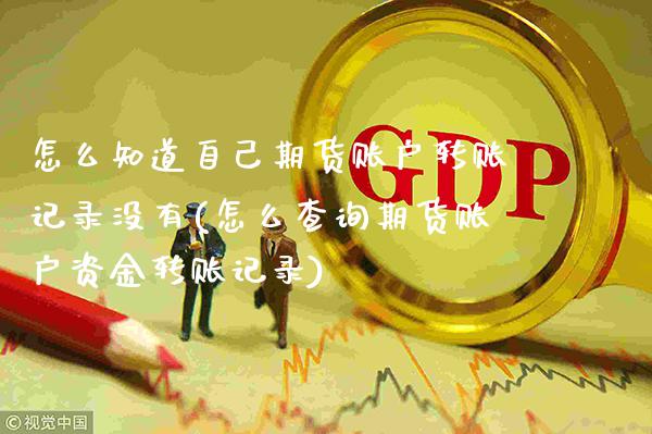 怎么知道自己期货账户转账记录没有(怎么查询期货账户资金转账记录)_https://www.boyangwujin.com_期货直播间_第1张