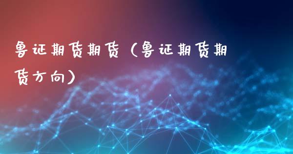 鲁证期货期货（鲁证期货期货方向）