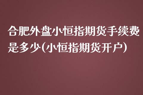 合肥外盘小恒指期货手续费是多少(小恒指期货开户)