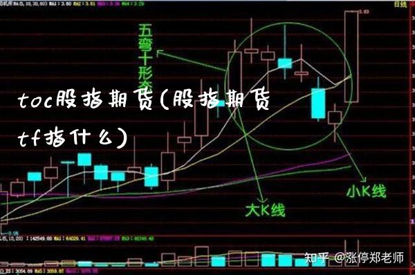 toc股指期货(股指期货tf指什么)