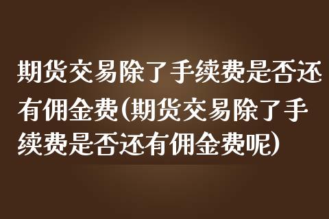 期货交易除了手续费是否还有佣金费(期货交易除了手续费是否还有佣金费呢)_https://www.boyangwujin.com_期货直播间_第1张