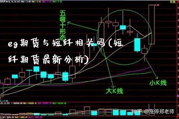 eg期货与短纤相关吗(短纤期货最新分析)