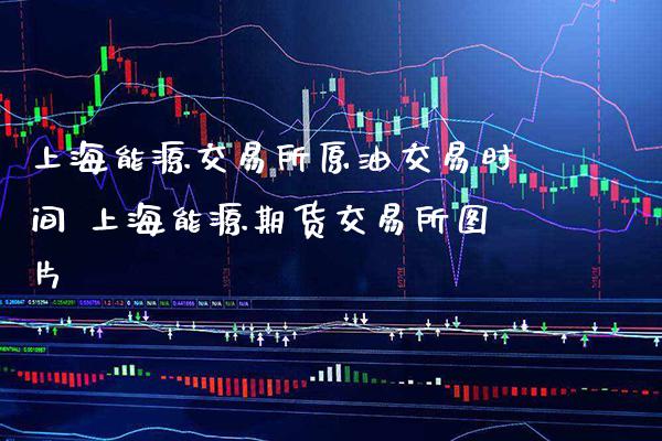 上海能源交易所原油交易时间 上海能源期货交易所图片
