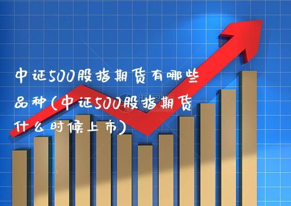 中证500股指期货有哪些品种(中证500股指期货什么时候上市)
