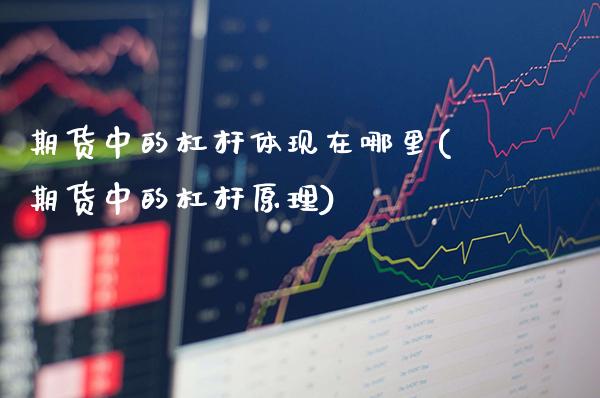期货中的杠杆体现在哪里(期货中的杠杆原理)
