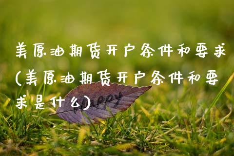 美原油期货开户条件和要求(美原油期货开户条件和要求是什么)_https://www.boyangwujin.com_期货直播间_第1张