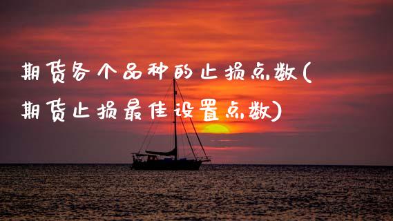 期货各个品种的止损点数(期货止损最佳设置点数)