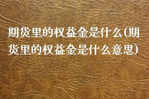 期货里的权益金是什么(期货里的权益金是什么意思)