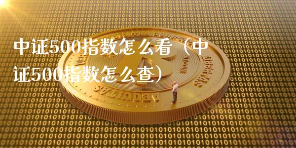 中证500指数怎么看（中证500指数怎么查）