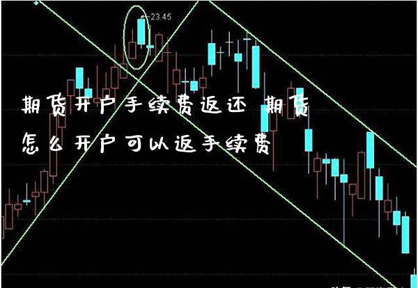 期货开户手续费返还 期货怎么开户可以返手续费_https://www.boyangwujin.com_期货直播间_第1张