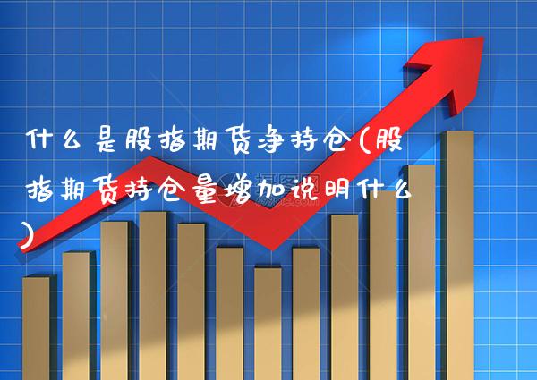什么是股指期货净持仓(股指期货持仓量增加说明什么)_https://www.boyangwujin.com_期货直播间_第1张