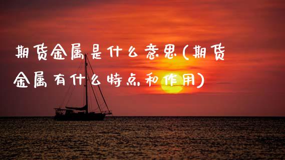 期货金属是什么意思(期货金属有什么特点和作用)_https://www.boyangwujin.com_恒生指数_第1张
