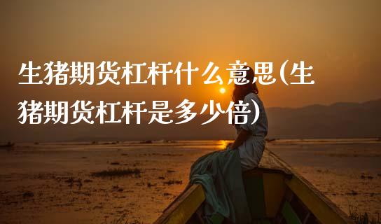 生猪期货杠杆什么意思(生猪期货杠杆是多少倍)_https://www.boyangwujin.com_期货直播间_第1张
