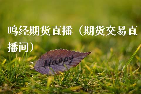 鸣经期货直播（期货交易直播间）