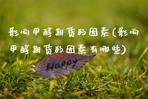 影响甲醇期货的因素(影响甲醇期货的因素有哪些)_https://www.boyangwujin.com_期货直播间_第1张