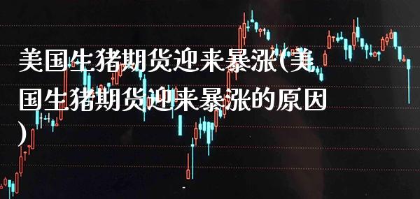 美国生猪期货迎来暴涨(美国生猪期货迎来暴涨的原因)