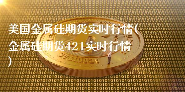 美国金属硅期货实时行情(金属硅期货421实时行情)_https://www.boyangwujin.com_期货科普_第1张