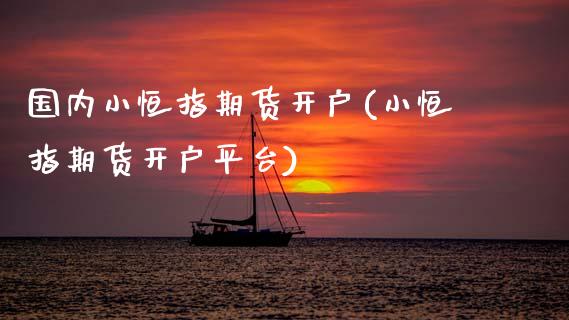 国内小恒指期货开户(小恒指期货开户平台)