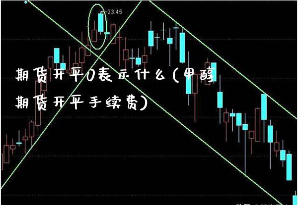 期货开平0表示什么(甲醇期货开平手续费)_https://www.boyangwujin.com_黄金期货_第1张