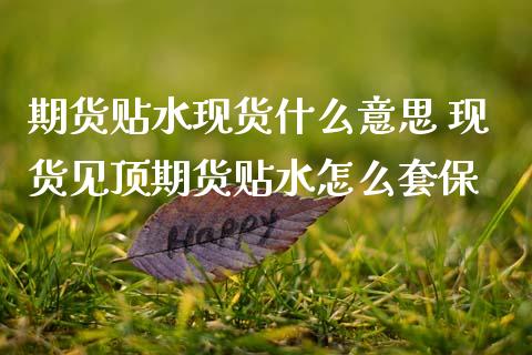 期货贴水现货什么意思 现货见顶期货贴水怎么套保_https://www.boyangwujin.com_道指期货_第1张