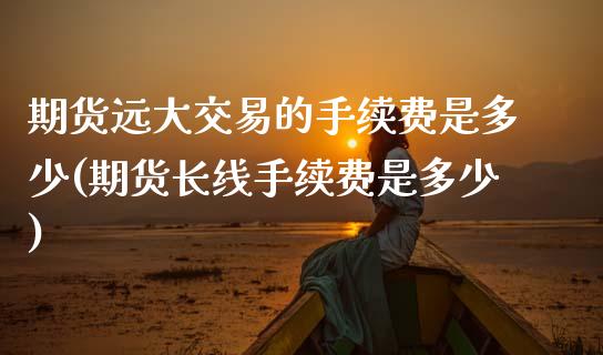 期货远大交易的手续费是多少(期货长线手续费是多少)_https://www.boyangwujin.com_期货直播间_第1张