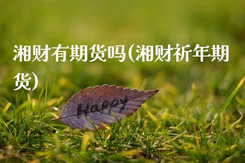湘财有期货吗(湘财祈年期货)_https://www.boyangwujin.com_原油期货_第1张