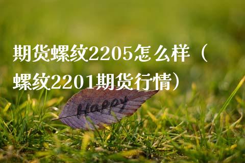 期货螺纹2205怎么样（螺纹2201期货行情）
