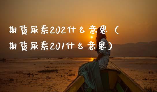 期货尿素202什么意思（期货尿素201什么意思）