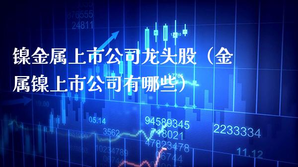 镍金属上市公司龙头股（金属镍上市公司有哪些）_https://www.boyangwujin.com_黄金期货_第1张