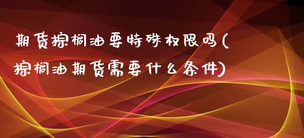 期货棕榈油要特殊权限吗(棕榈油期货需要什么条件)