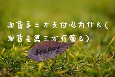 期货是三方支付吗为什么(期货是第三方存管么)