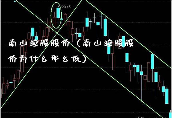 南山控股股价（南山控股股价为什么那么低）_https://www.boyangwujin.com_期货直播间_第1张